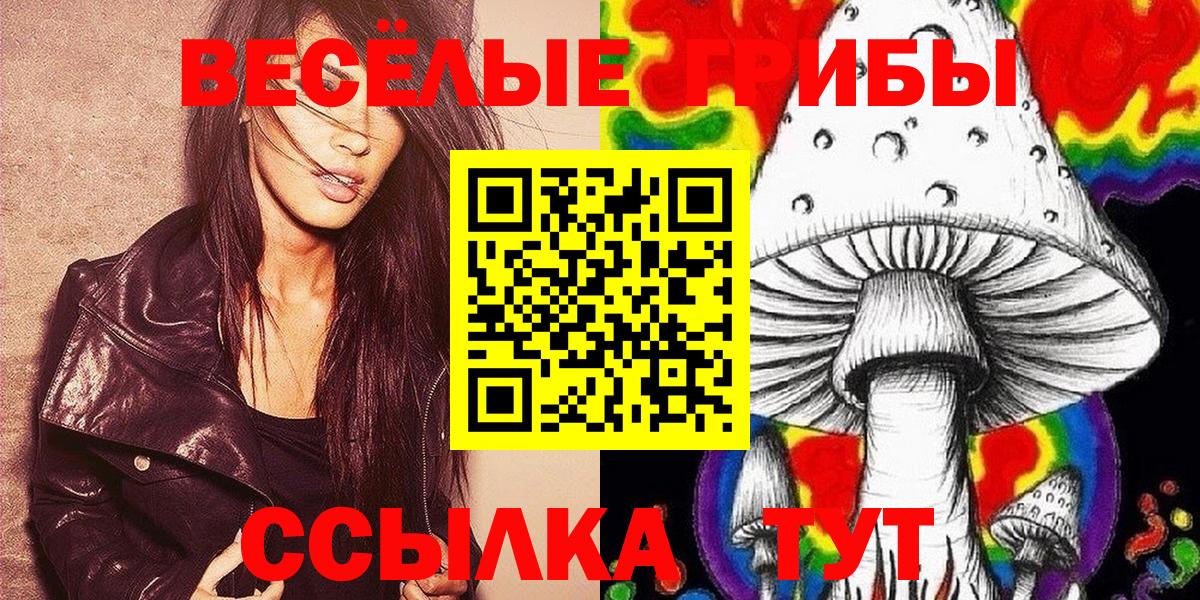 Евпатория  Галлюциногенные грибы MAGIC MUSHROOMS  Вход с VPN  что такое наркотик  Псилоцибиновые грибы Psilocybe 